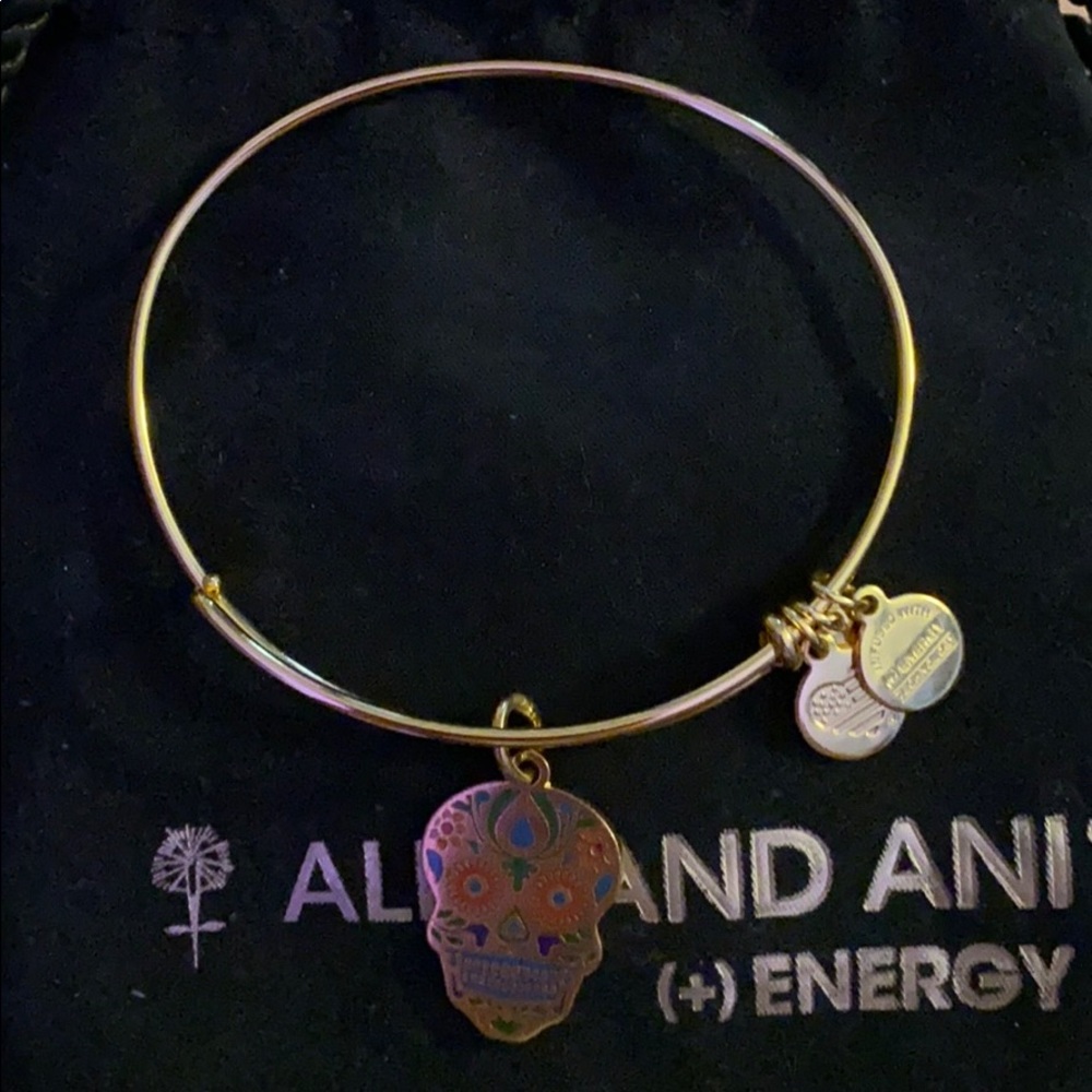 Alex and ani bracelet